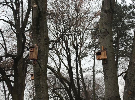 „Mini Park” nad rzeką Łebą zmienił oblicze 34703