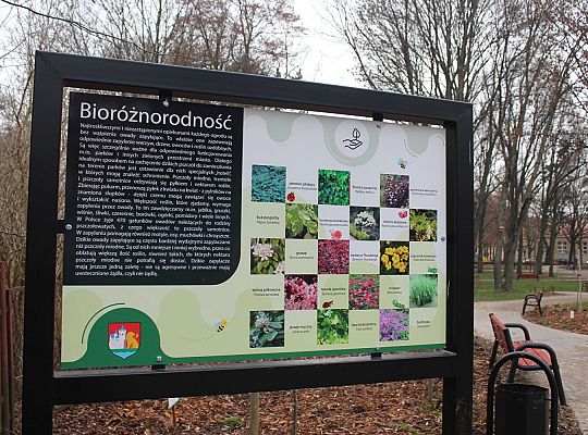 „Mini Park” nad rzeką Łebą zmienił oblicze 34705