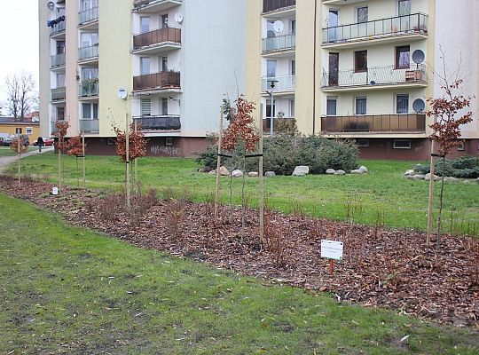 „Mini Park” nad rzeką Łebą zmienił oblicze 34706