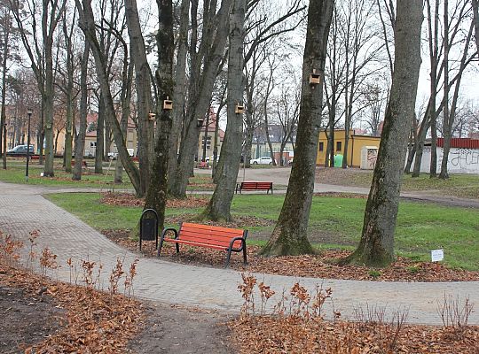 „Mini Park” nad rzeką Łebą zmienił oblicze 34708