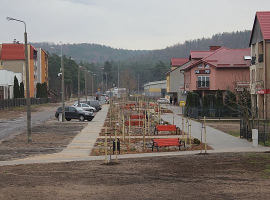 Przy Olimpijczyków powstały ogrody deszczowe 34833
