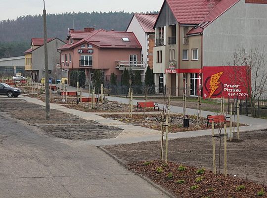 Przy Olimpijczyków powstały ogrody deszczowe 34834