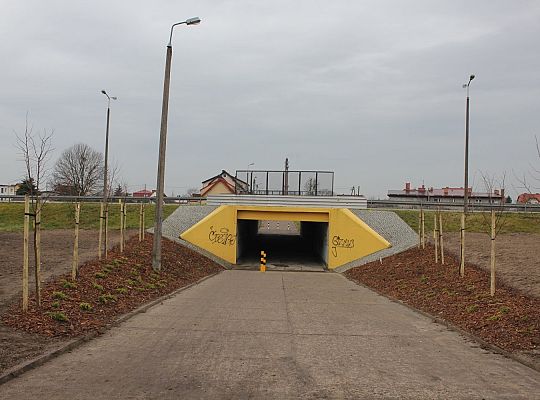 Przy Olimpijczyków powstały ogrody deszczowe 34836