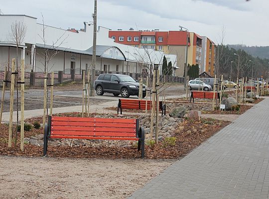 Przy Olimpijczyków powstały ogrody deszczowe 34839