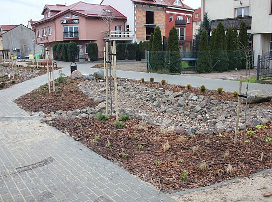 Przy Olimpijczyków powstały ogrody deszczowe 34841