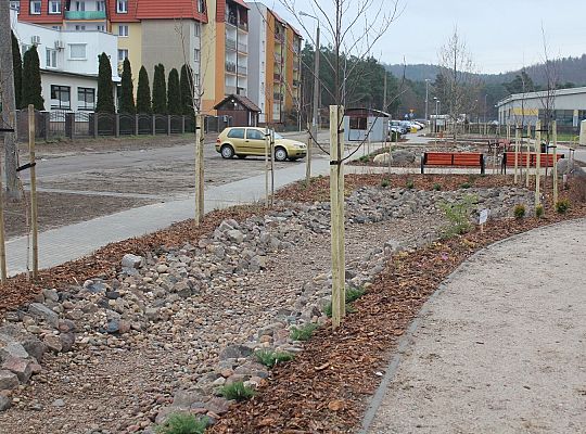 Przy Olimpijczyków powstały ogrody deszczowe 34845