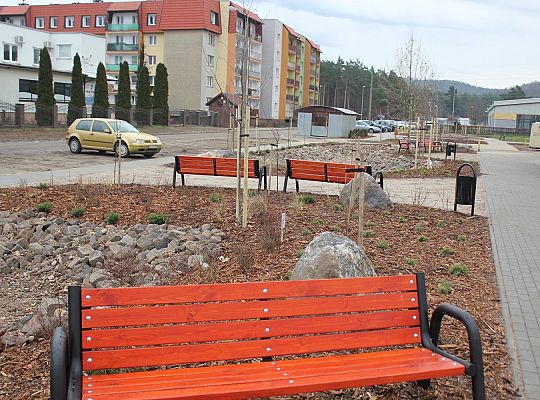 Przy Olimpijczyków powstały ogrody deszczowe 34847