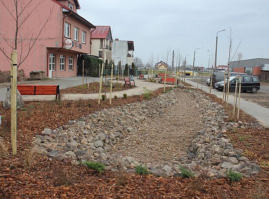 Przy Olimpijczyków powstały ogrody deszczowe 34848