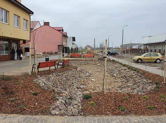Przy Olimpijczyków powstały ogrody deszczowe 34849