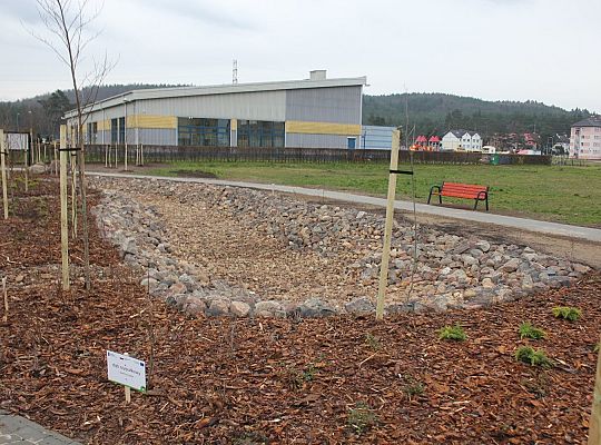 Przy Olimpijczyków powstały ogrody deszczowe 34850