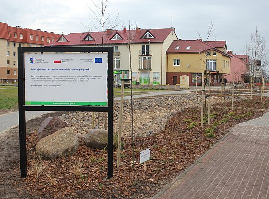 Przy Olimpijczyków powstały ogrody deszczowe 34852