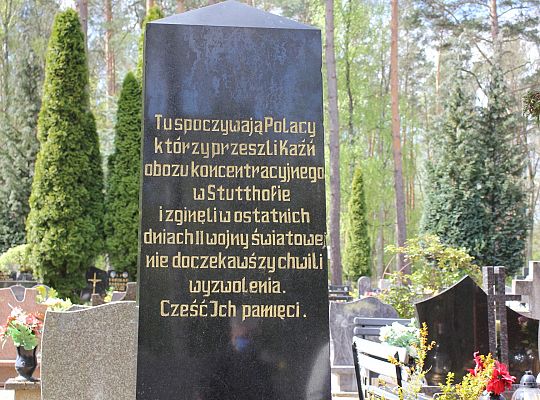 Kwiaty złożone ofiarom wojny 36032
