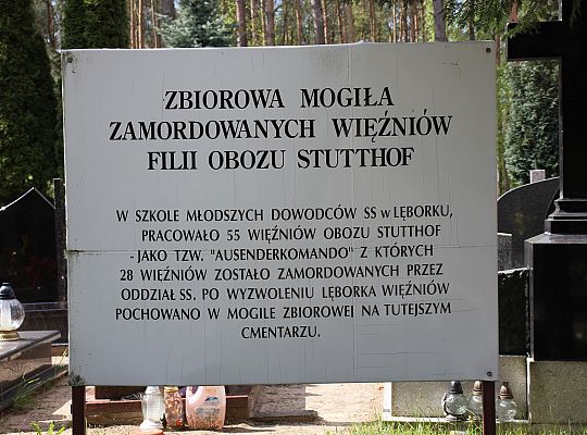 Kwiaty złożone ofiarom wojny 36034