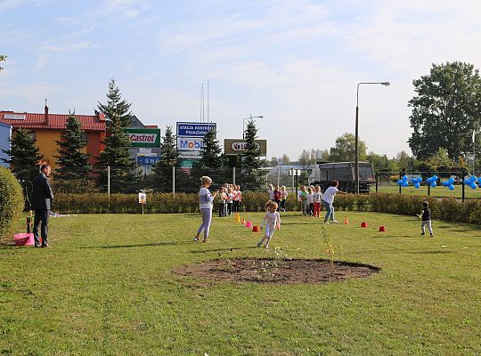 Dzień Przedszkolaka - zdrowo i sportowo w 36949