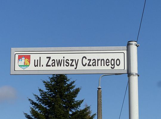 Remont chodników i nawierzchni ulicy Zawiszy 38117