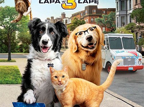 Kino „Fregata” zaprasza na seanse filmowe już od 38531