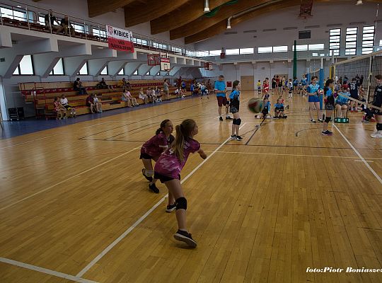 Zagrali w Minipiłkę Siatkową o Puchar Małgorzaty 38860