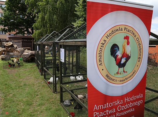 Festiwal Rzemiosł Dawnych w cieniu Sanktuarium św. 39282