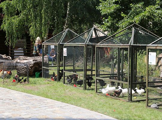 Festiwal Rzemiosł Dawnych w cieniu Sanktuarium św. 39291