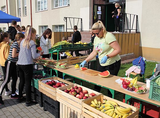 Piknik Zdrowia przy Szkole Podstawowej nr 1 40114