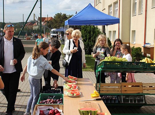 Piknik Zdrowia przy Szkole Podstawowej nr 1 40133