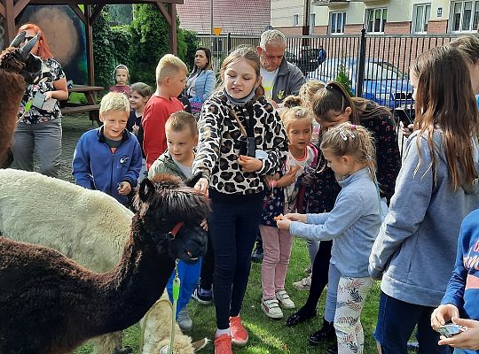 Festiwal Uliczny na obszarze rewitalizacji Lębork 40386
