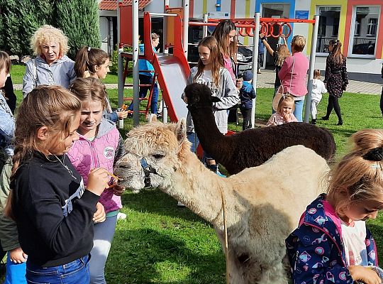 Festiwal Uliczny na obszarze rewitalizacji Lębork 40388