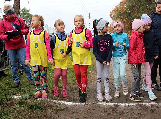 Biegi z okazji Święta Niepodległości 40894