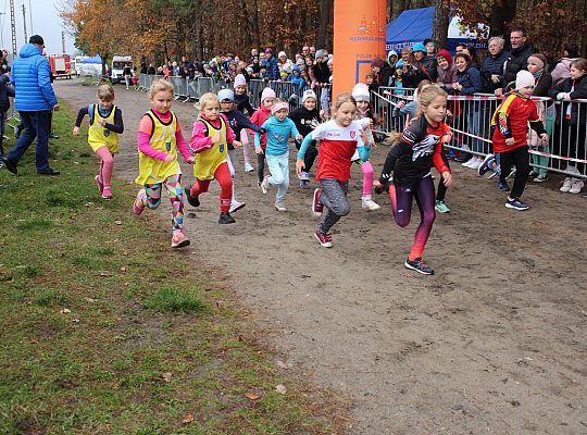 Biegi z okazji Święta Niepodległości 40897