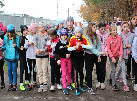 Biegi z okazji Święta Niepodległości 40901