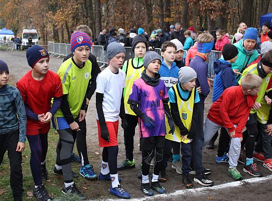 Biegi z okazji Święta Niepodległości 40909