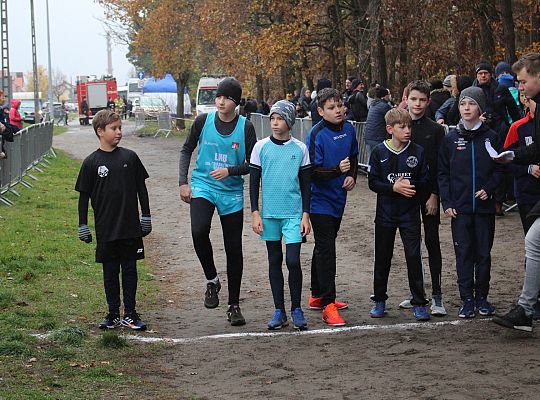 Biegi z okazji Święta Niepodległości 40915