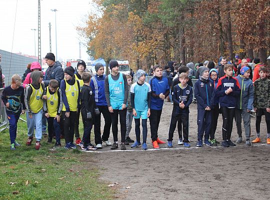 Biegi z okazji Święta Niepodległości 40917