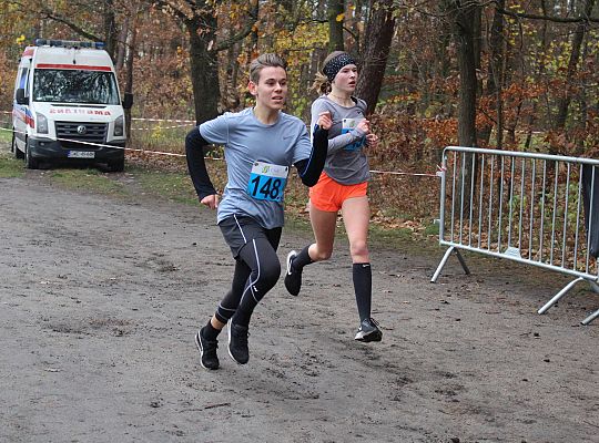 Biegi z okazji Święta Niepodległości 40941