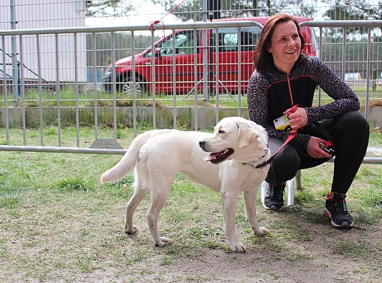 Indywidualne Biegi Przełajowe o Puchar Konstytucji 42848