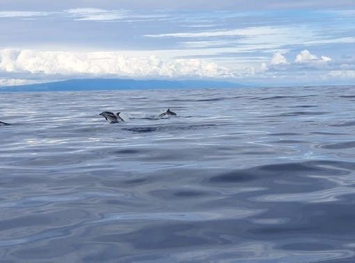 Uczniowie SP1 z Erasmusa+ polecieli na Azory 43134