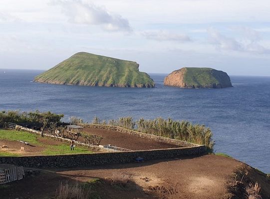 Uczniowie SP1 z Erasmusa+ polecieli na Azory 43107