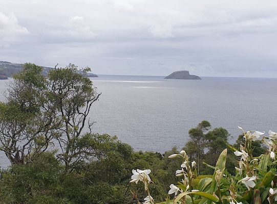 Uczniowie SP1 z Erasmusa+ polecieli na Azory 43115