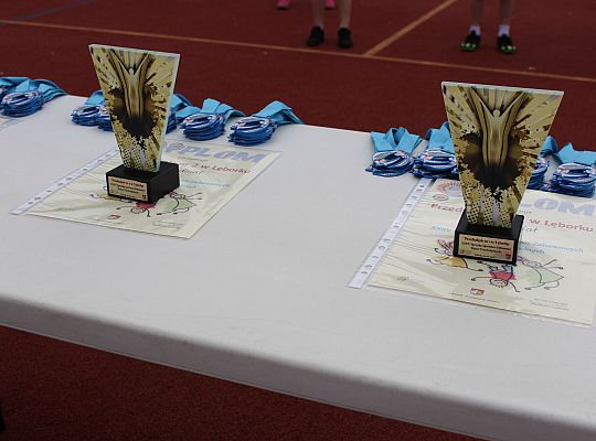 XXXV Igrzyska Sportowo-Zabawowe Dzieci 43596