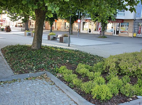 Rozbudowa parkingu przy Alei Wolności 43945