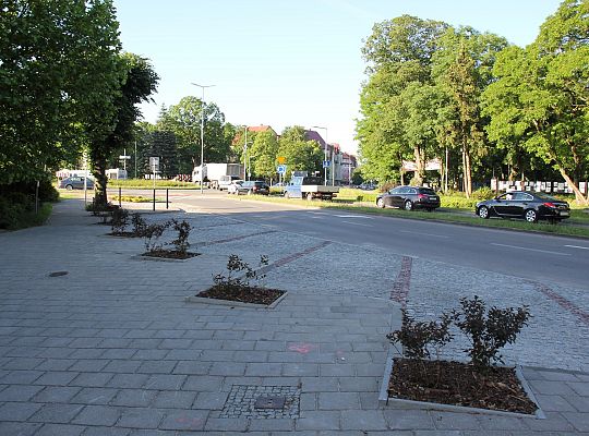 Rozbudowa parkingu przy Alei Wolności 43941