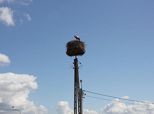 Na Pułaskiego trwa budowa nowej drogi 45121