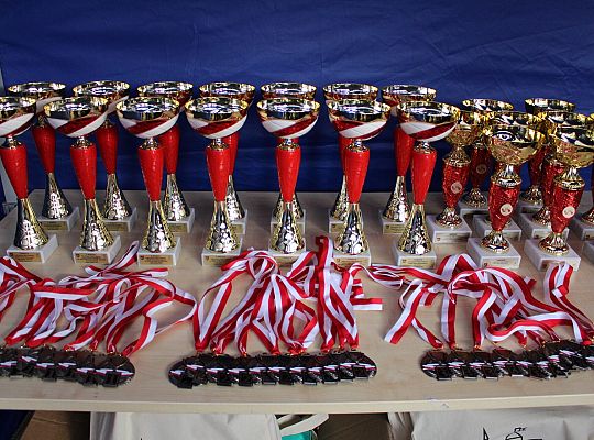 Indywidualne Biegi Przełajowe z okazji Święta 46188