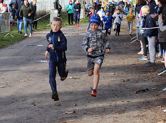 Indywidualne Biegi Przełajowe z okazji Święta 46199