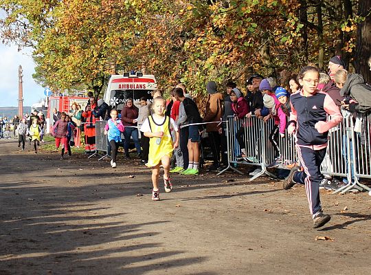 Indywidualne Biegi Przełajowe z okazji Święta 46202