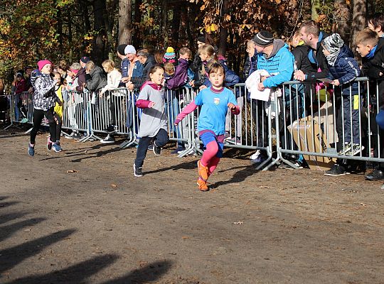 Indywidualne Biegi Przełajowe z okazji Święta 46203