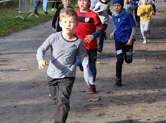 Indywidualne Biegi Przełajowe z okazji Święta 46205