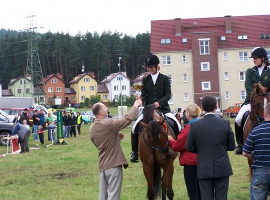 Konie skakały przez przeszkody 1519