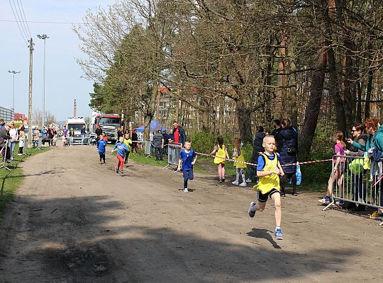 Biegi o Puchar Konstytucji 3 Maja za nami 48339