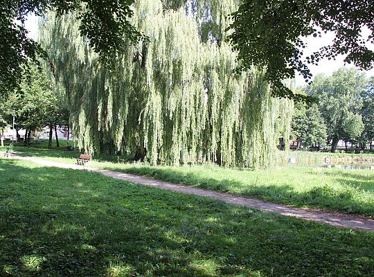 Ruszyła przebudowa Parku im. Marii i Lecha 50963